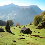 Adlerhorst Eg By Interhome Apartmán Grindelwald