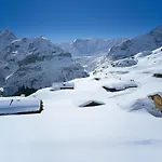 Adlerhorst Eg By Interhome Apartmán Grindelwald