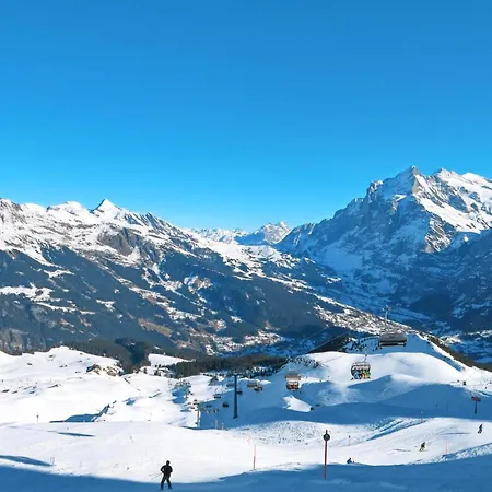 Apartmán Adlerhorst Eg By Interhome Grindelwald