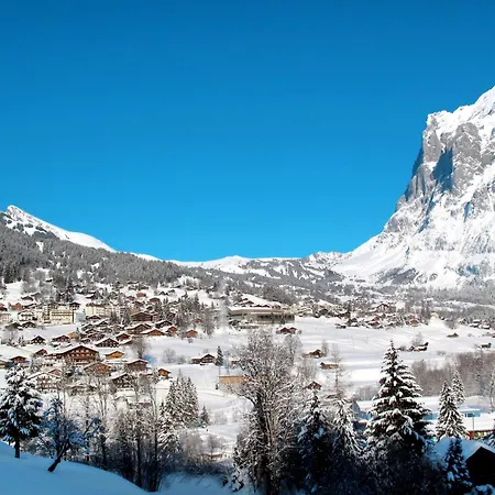 Adlerhorst Eg By Interhome Apartmán Grindelwald