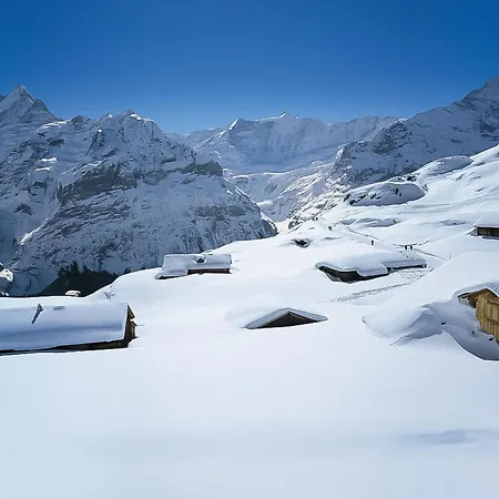 Adlerhorst Eg By Interhome Daire Grindelwald