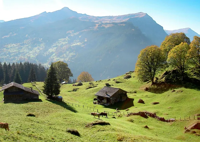 Adlerhorst Eg By Interhome Daire Grindelwald